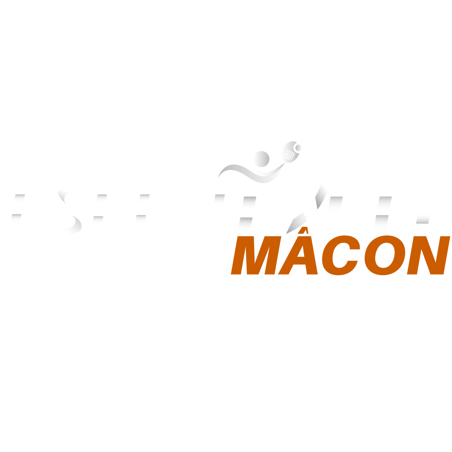 Logo Esprit Padel Mâcon